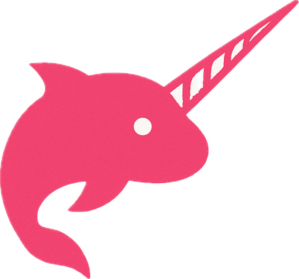 NarTools Logo